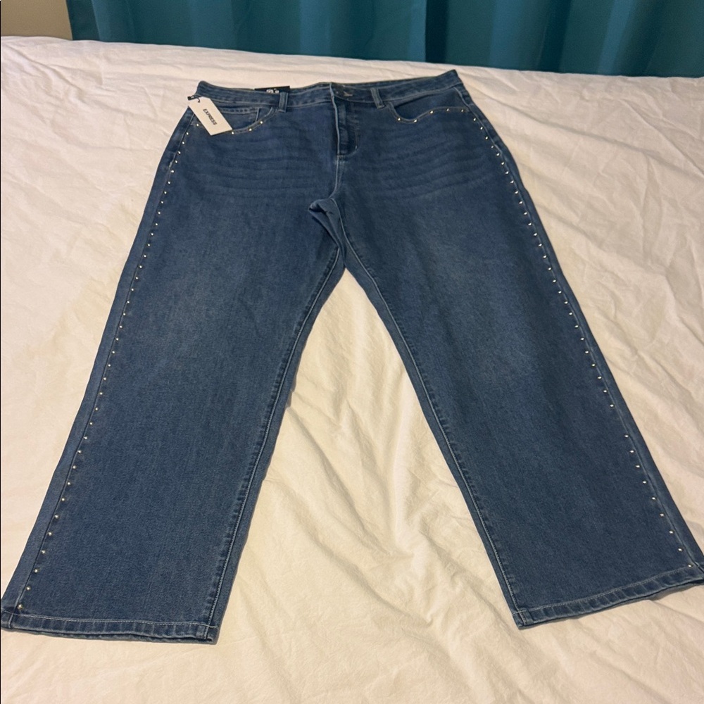 Blue Denim express embellish Jean Jeans